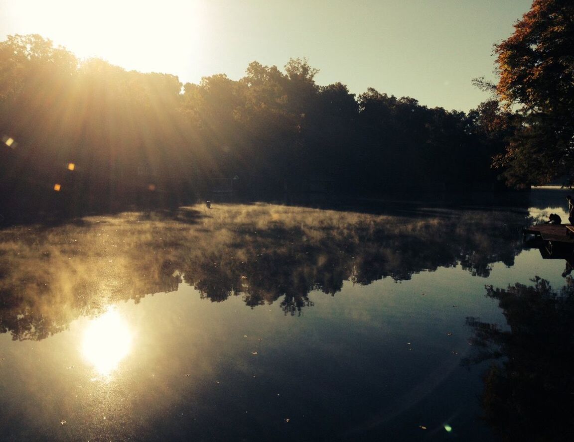 REFLECTION OF TREES IN LAKE