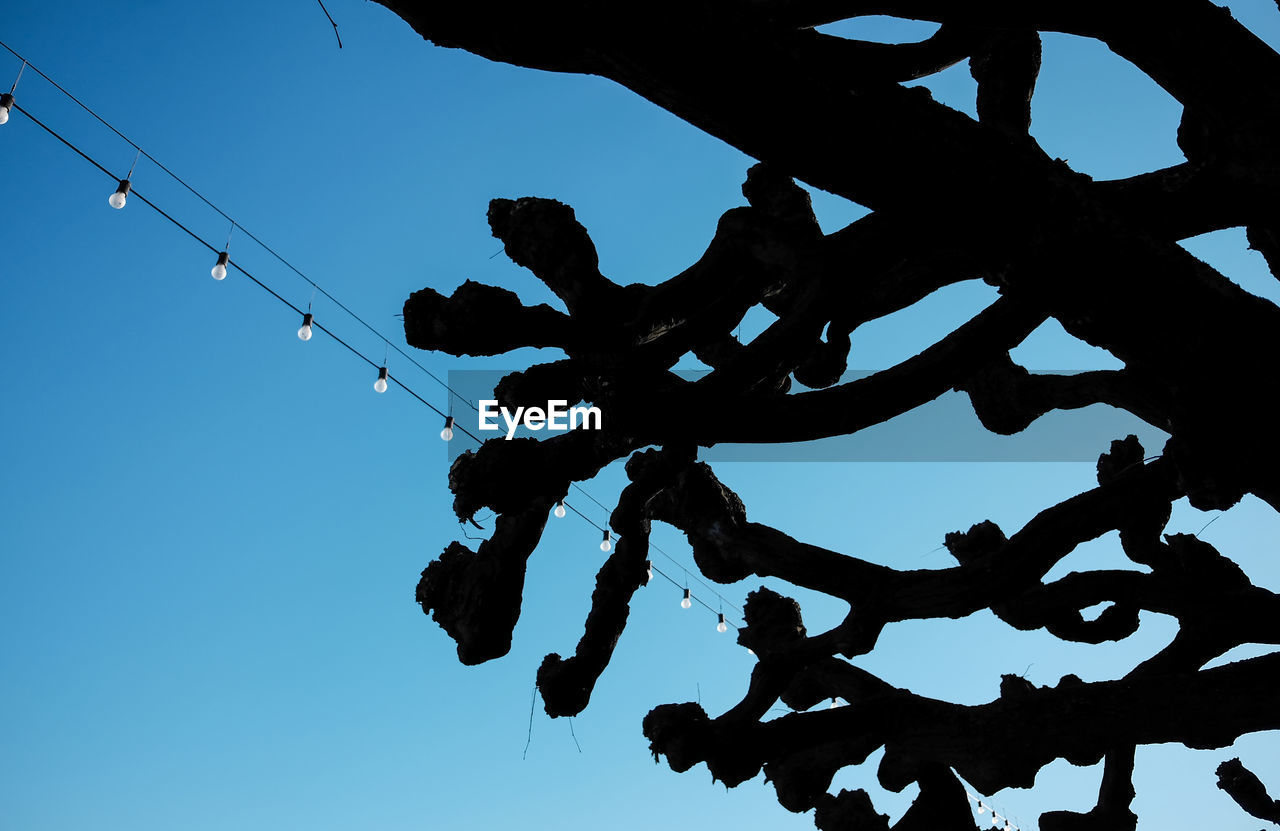Low angle view of silhouette branches against clear blue sky