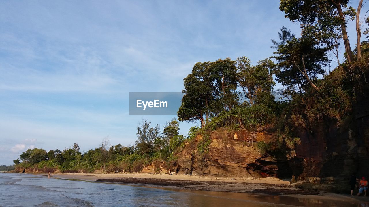 TREES BY BEACH AGAINST SKY