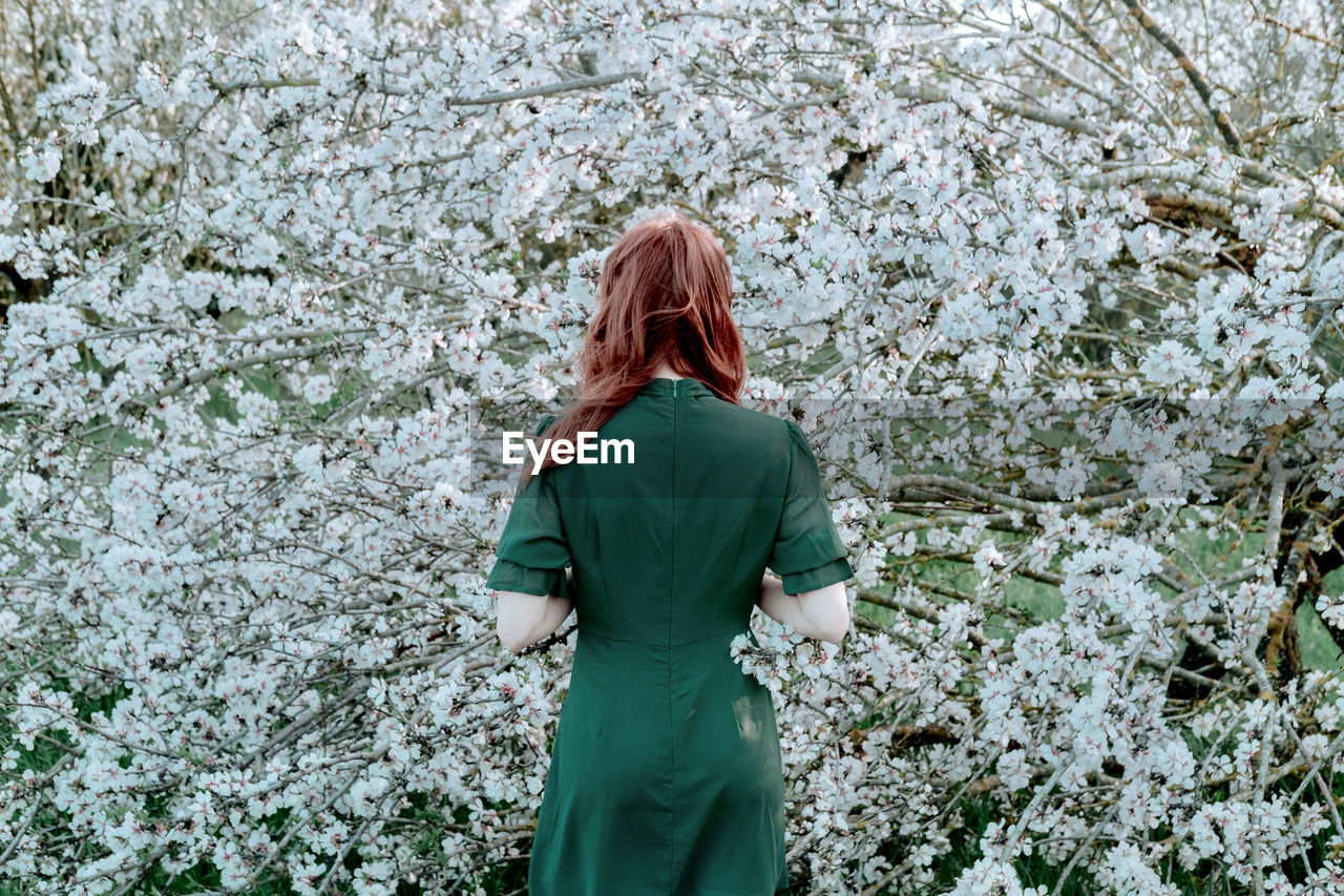 Woman with her back turned in front of a cherry tree in bloom