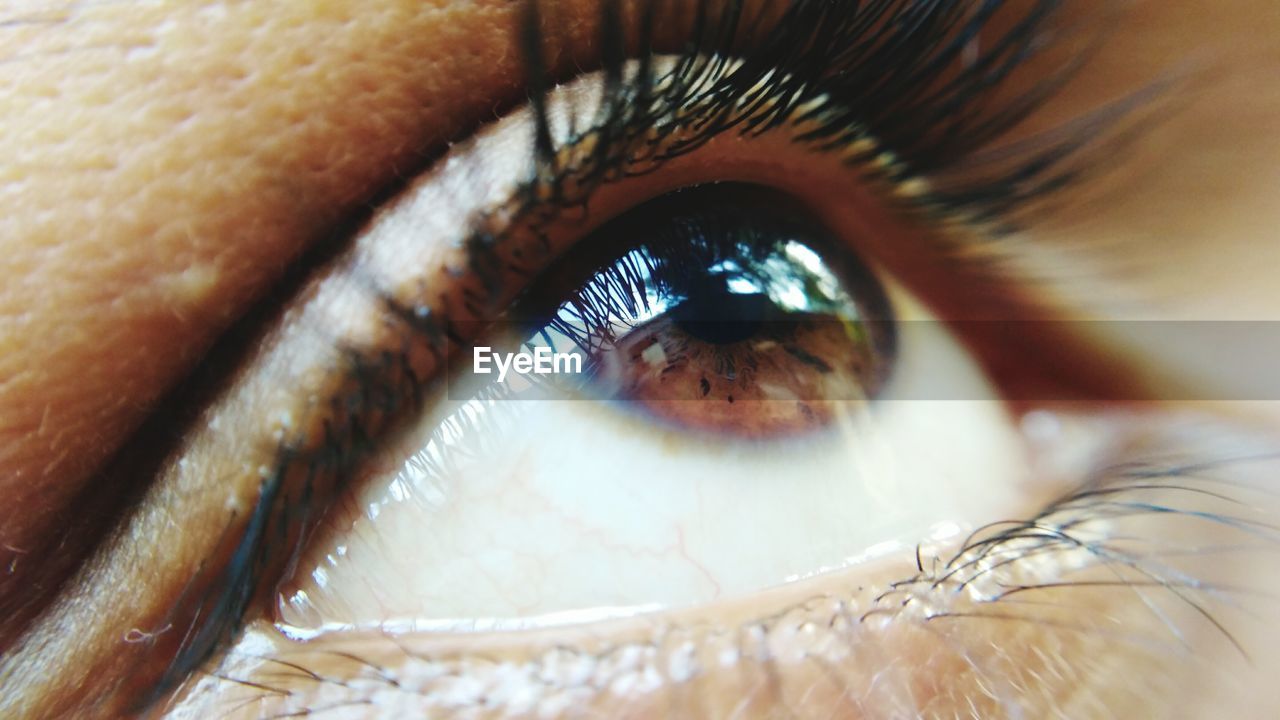 Extreme close-up of eye