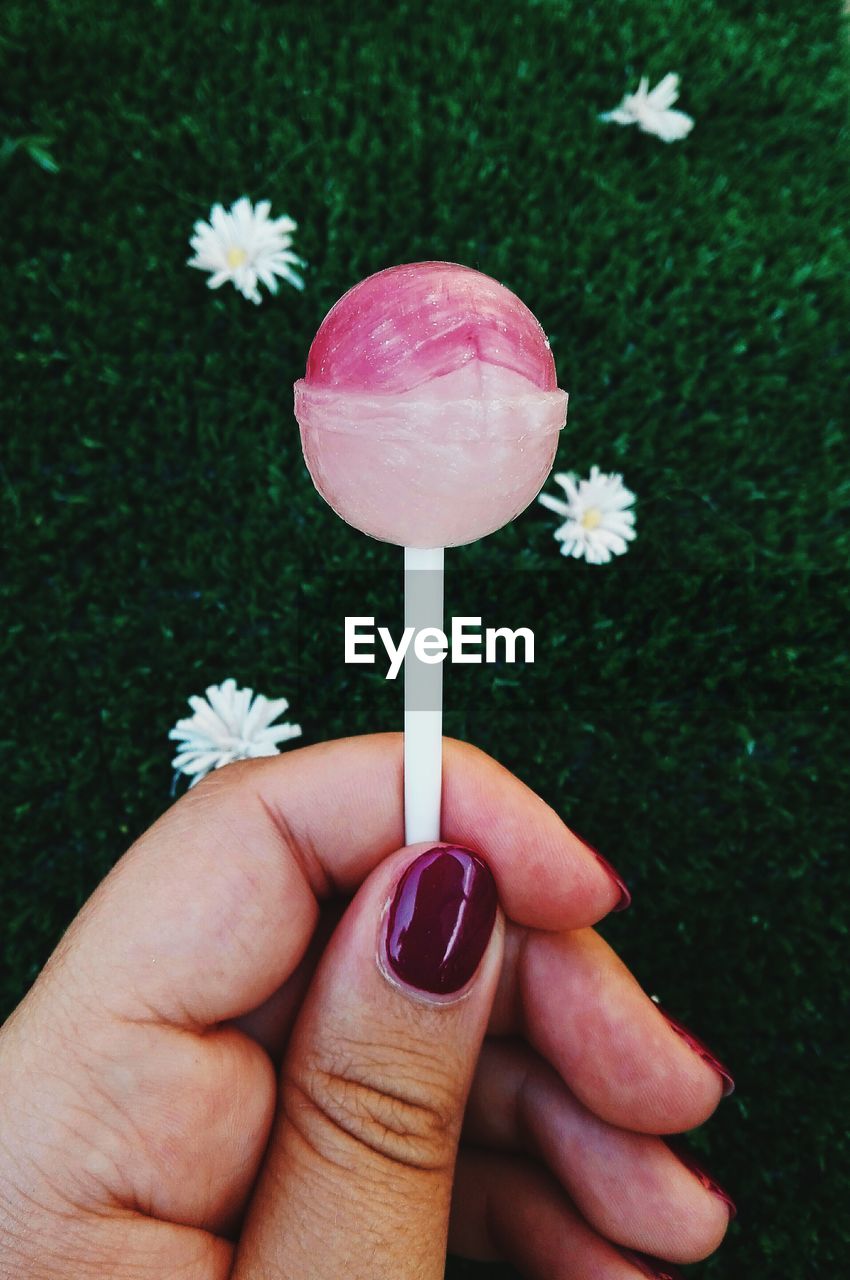 Cropped image of woman hand holding pink lollipop over field