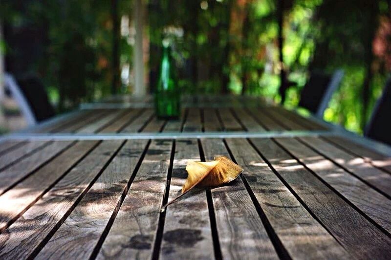 CLOSE-UP OF WOODEN PLANKS