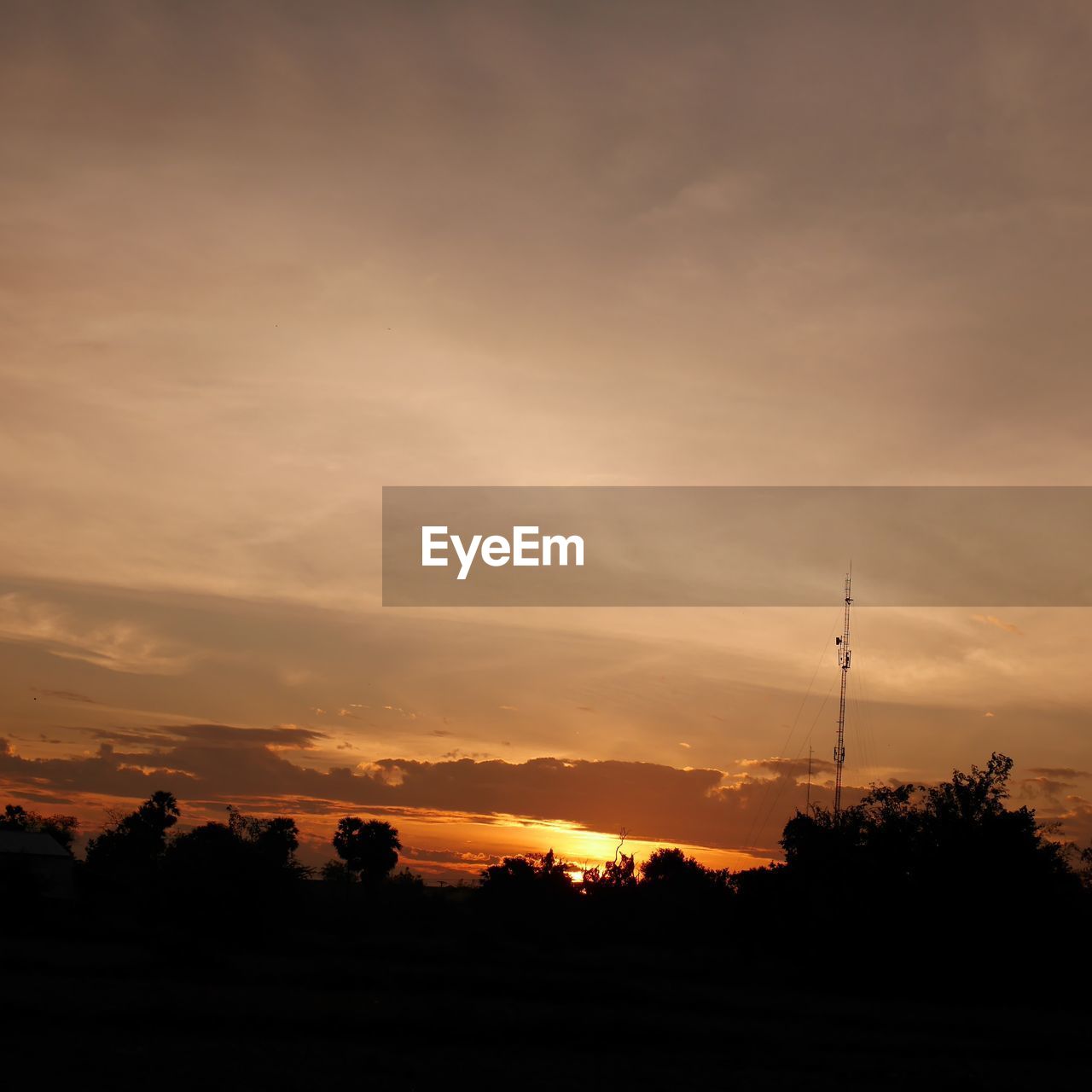 SILHOUETTE OF TREE AGAINST SKY DURING SUNSET