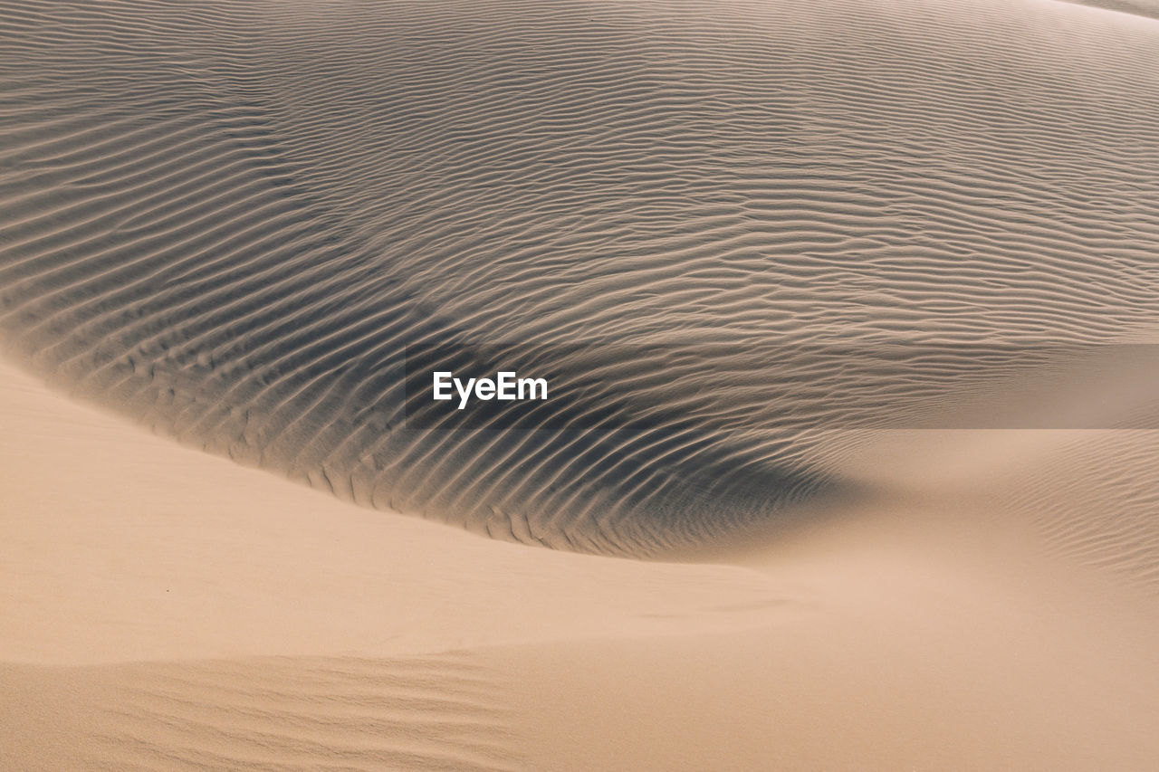 Close-up of sand dunes at beach