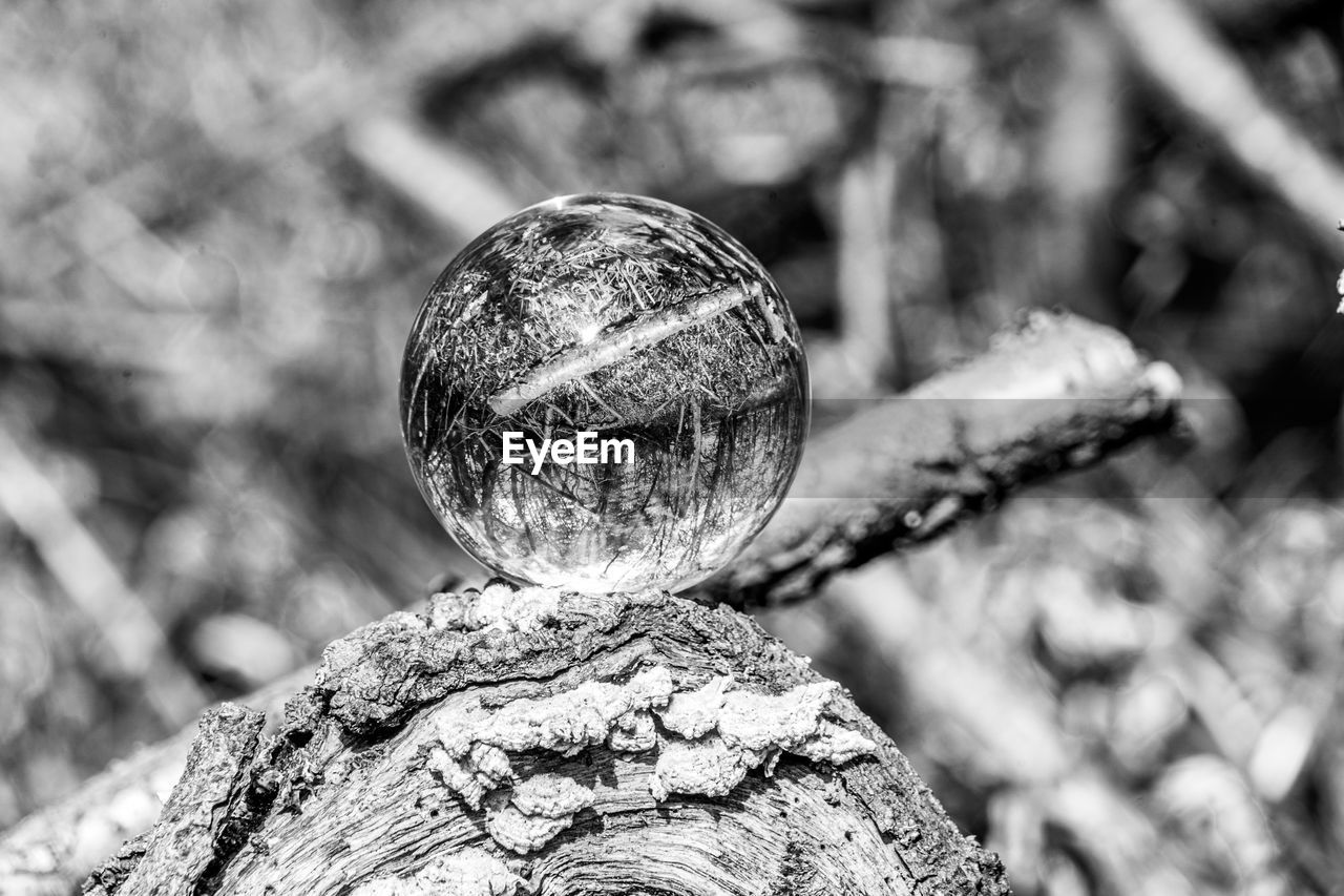 CLOSE-UP OF CRYSTAL BALL