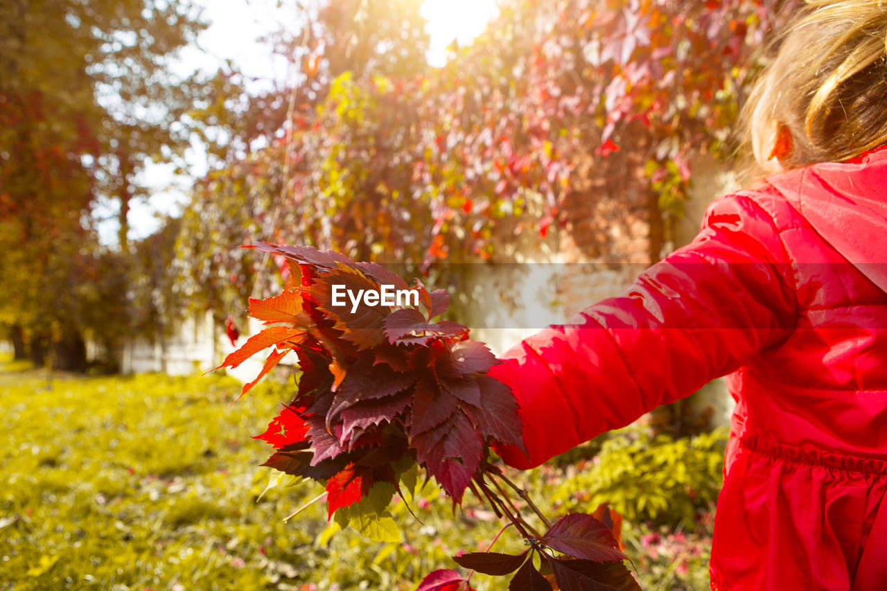 MIDSECTION OF WOMAN WITH RED LEAVES