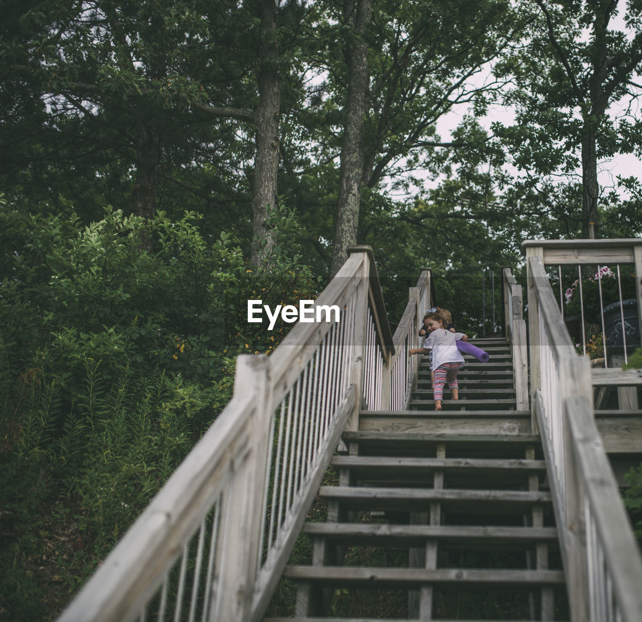 Low angle view of playful siblings climbing wooden steps