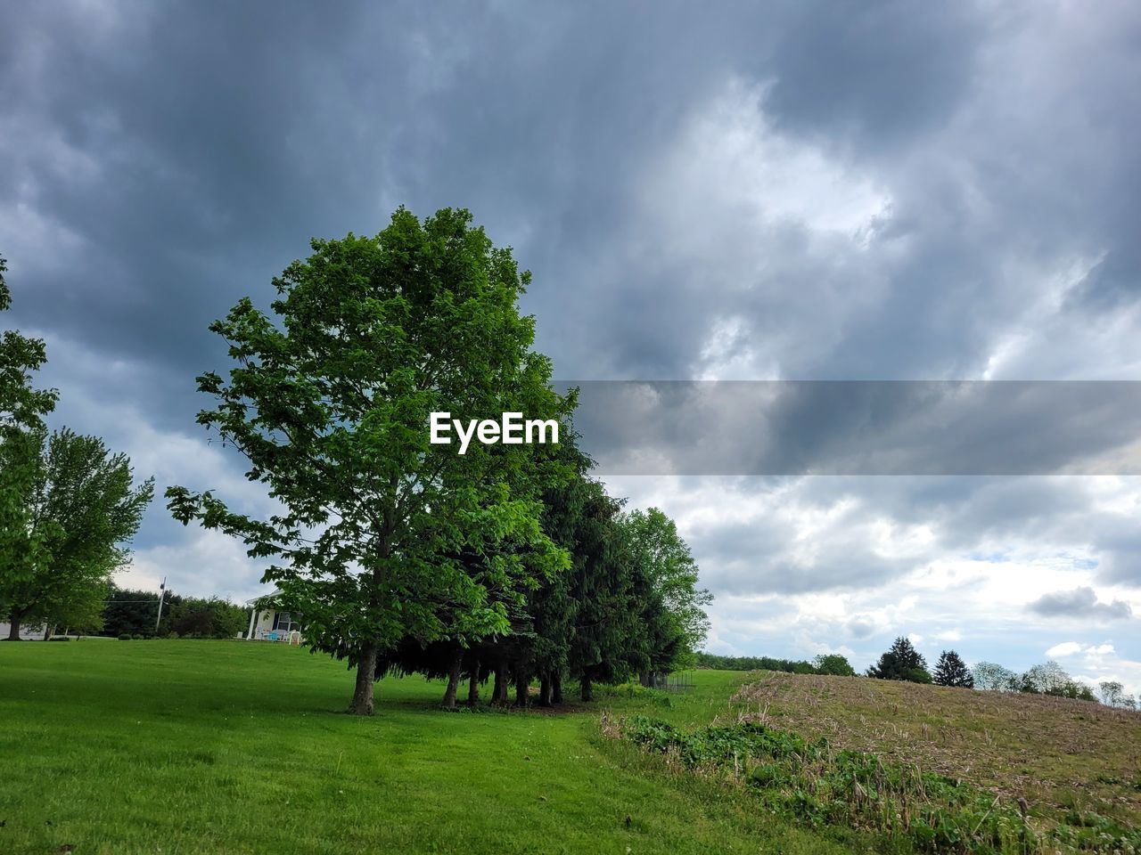 plant, cloud, sky, nature, tree, environment, grass, landscape, green, land, beauty in nature, field, hill, scenics - nature, meadow, rural area, grassland, tranquility, no people, cloudscape, horizon, non-urban scene, storm, dramatic sky, outdoors, tranquil scene, overcast, lawn, storm cloud, plain, rural scene, sunlight, growth, pasture, day