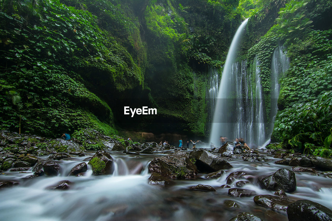 People enjoying by waterfall in rainforest