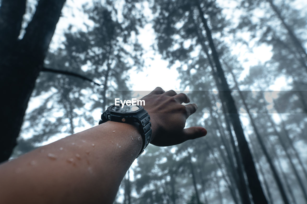 Low angle view of hand against blurred trees