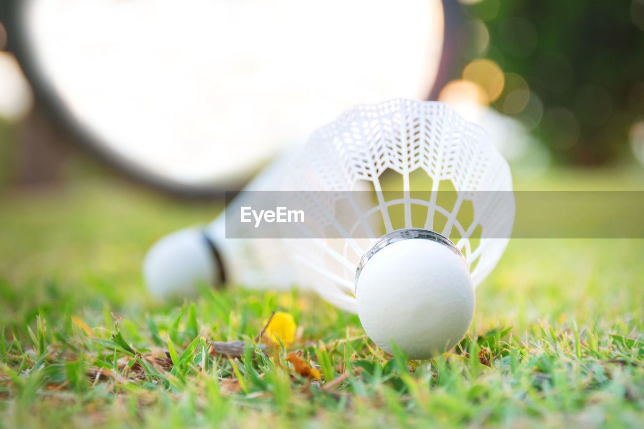 CLOSE-UP OF BALL IN FIELD