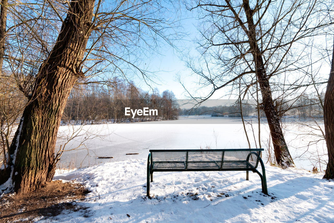 BENCH AND BARE TREES IN WINTER