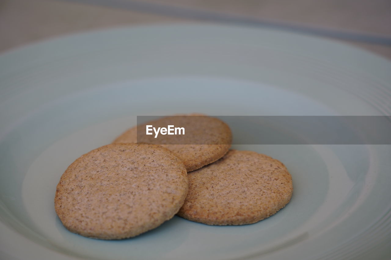 CLOSE-UP OF COOKIES IN CONTAINER