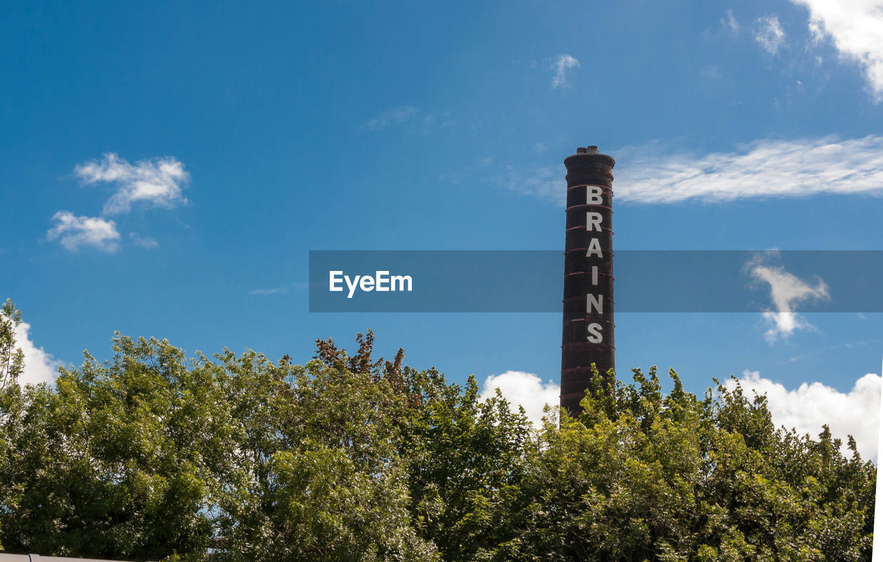 Low angle view of tree against sky