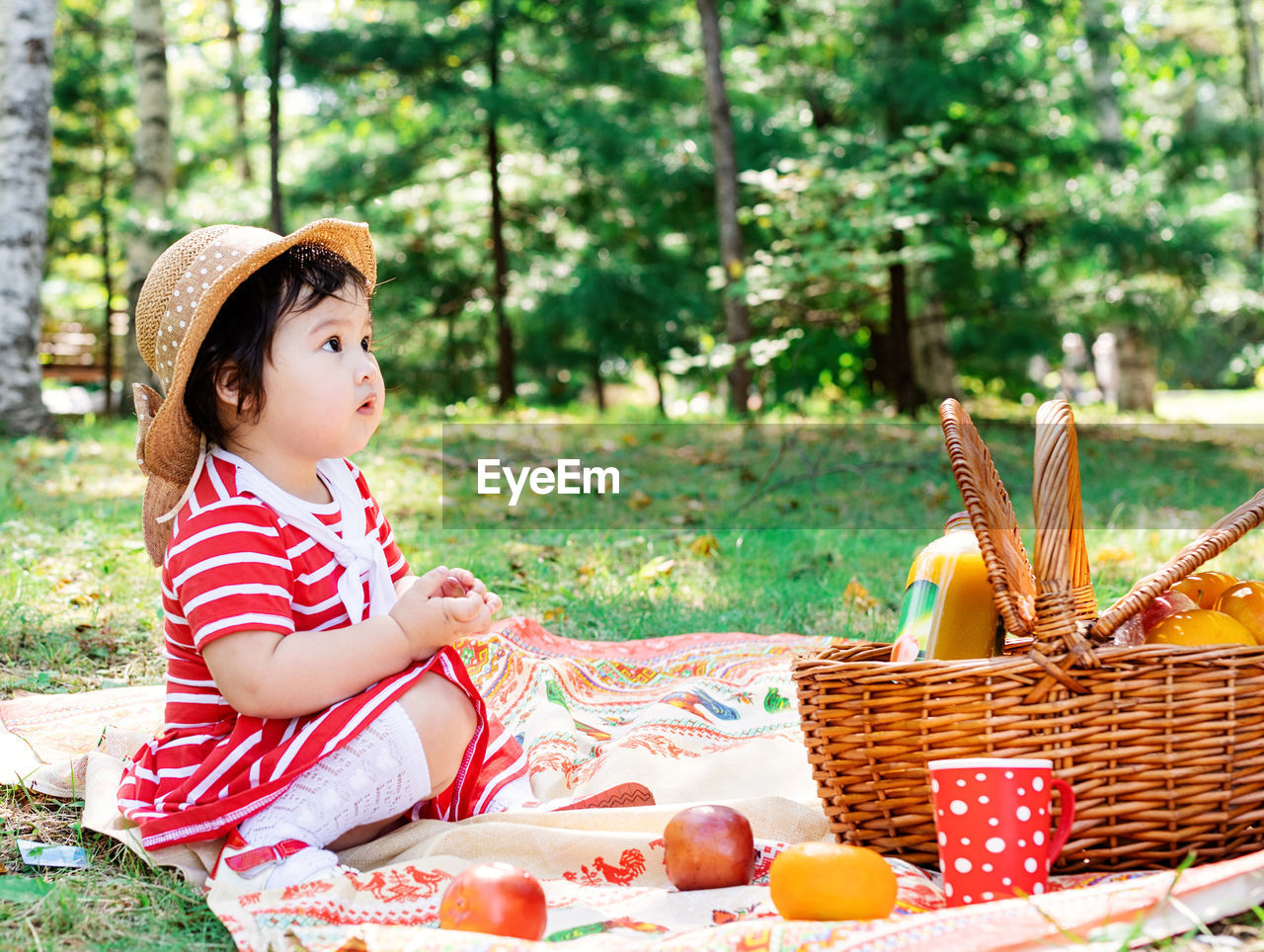 Cute asian infant girl in a stripped red dress and srtaw hat on a picnic in the park