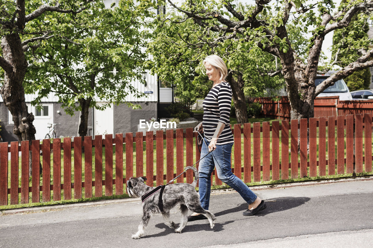 Side view of senior woman walking with dog on street