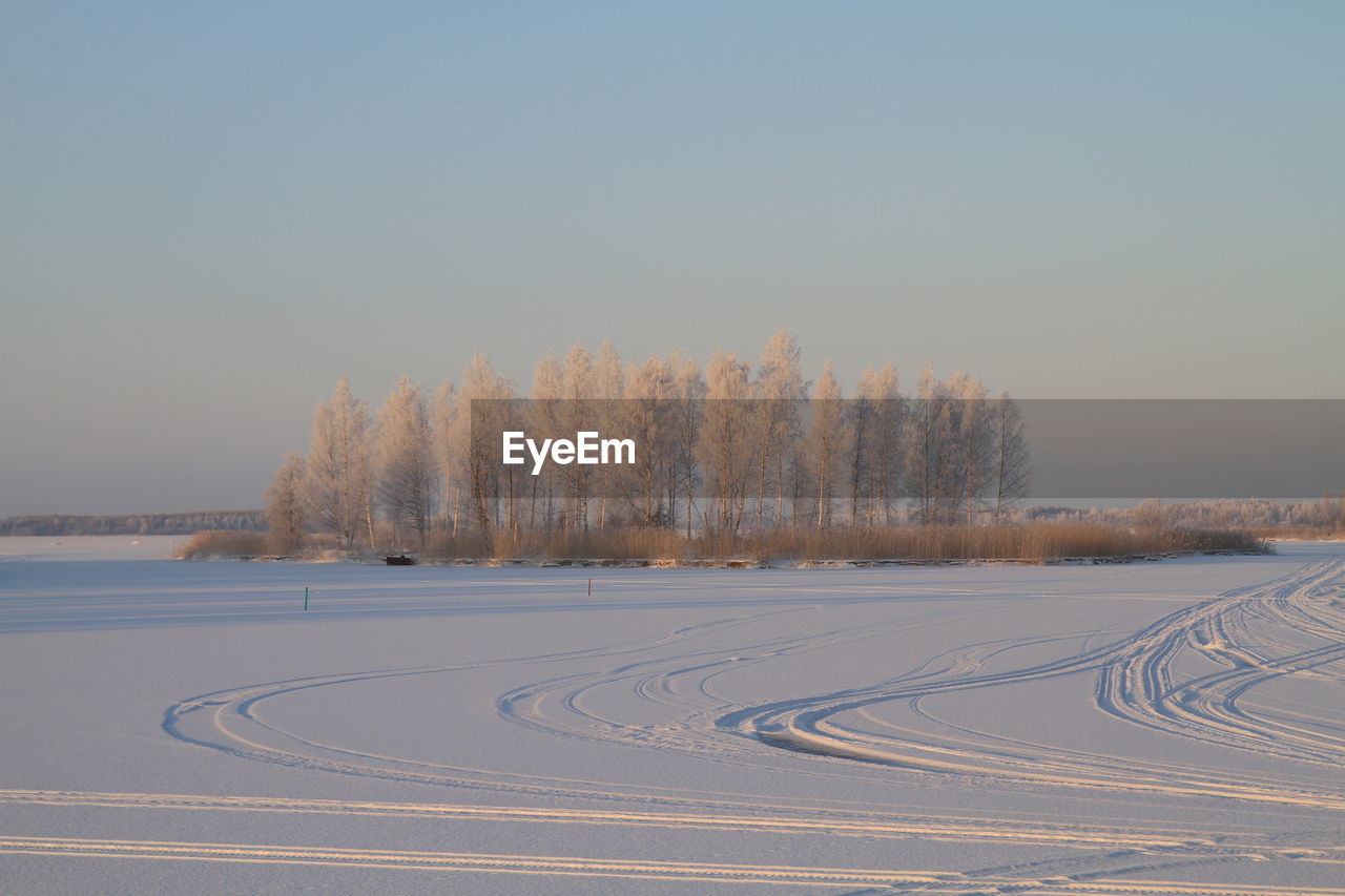 Tire tracks on snowcapped field during winter