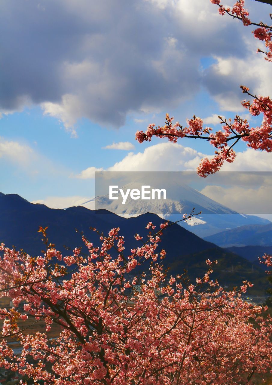 Scenic view of tree mountains against sky during sunset