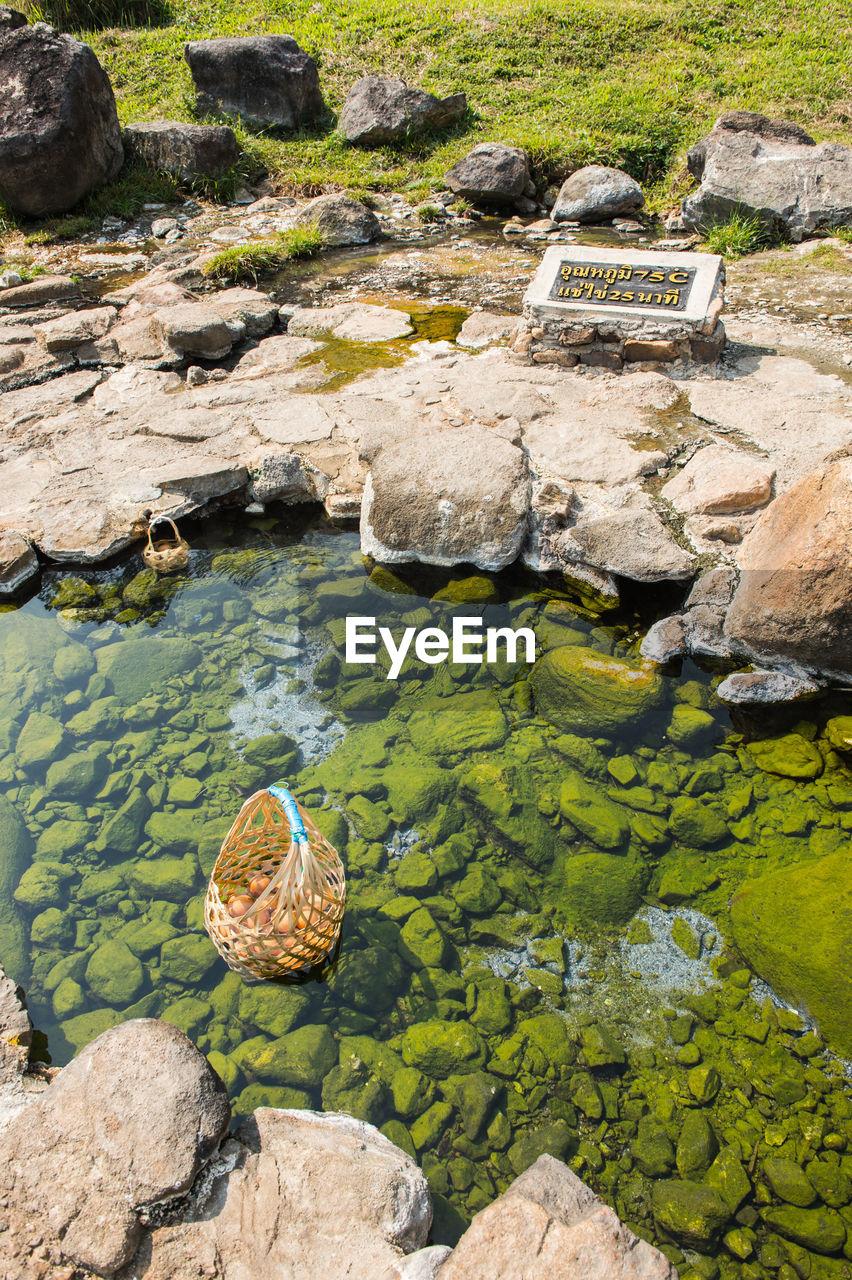 CLOSE-UP OF LEAVES FLOATING ON WATER IN PARK