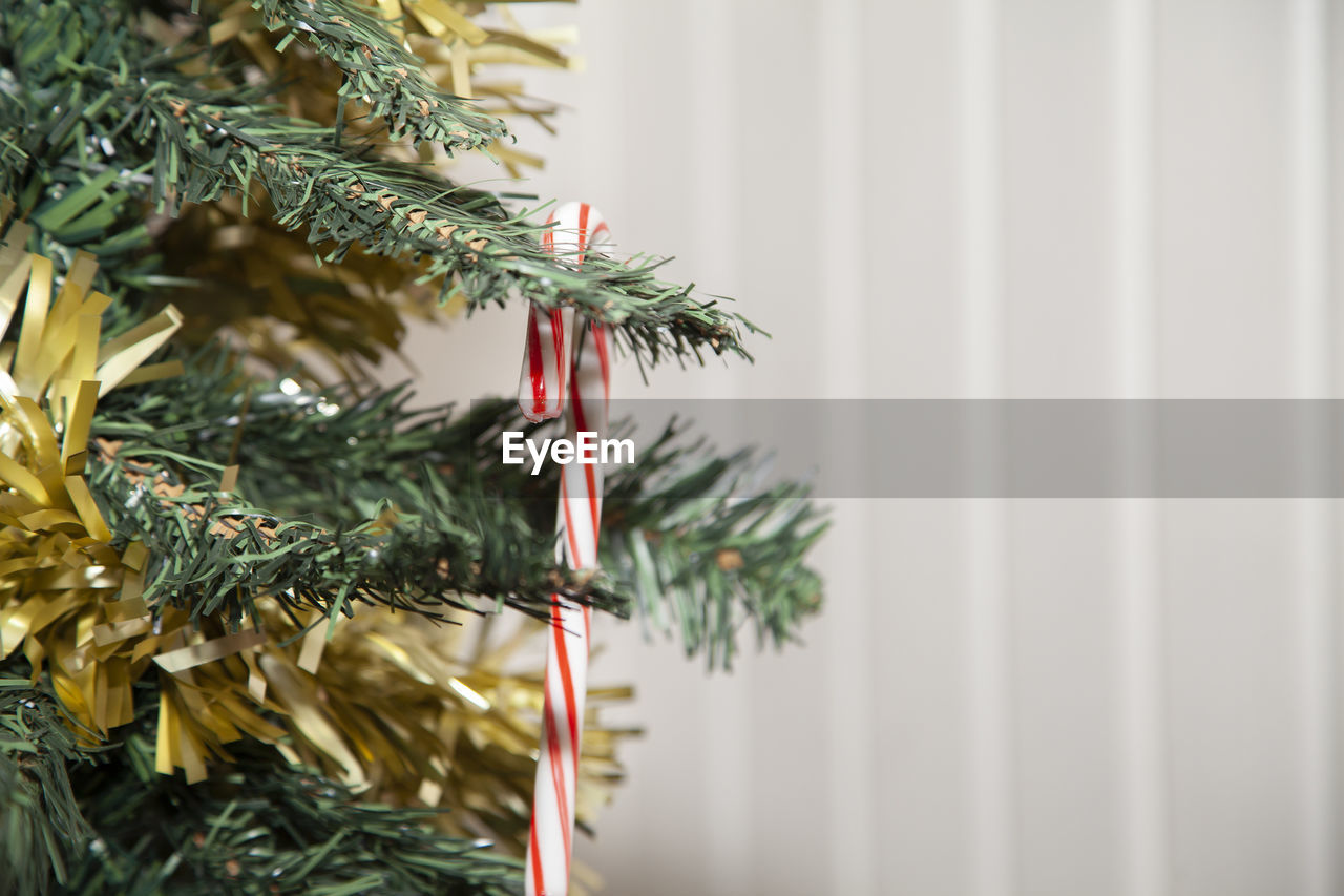 Close-up of christmas tree