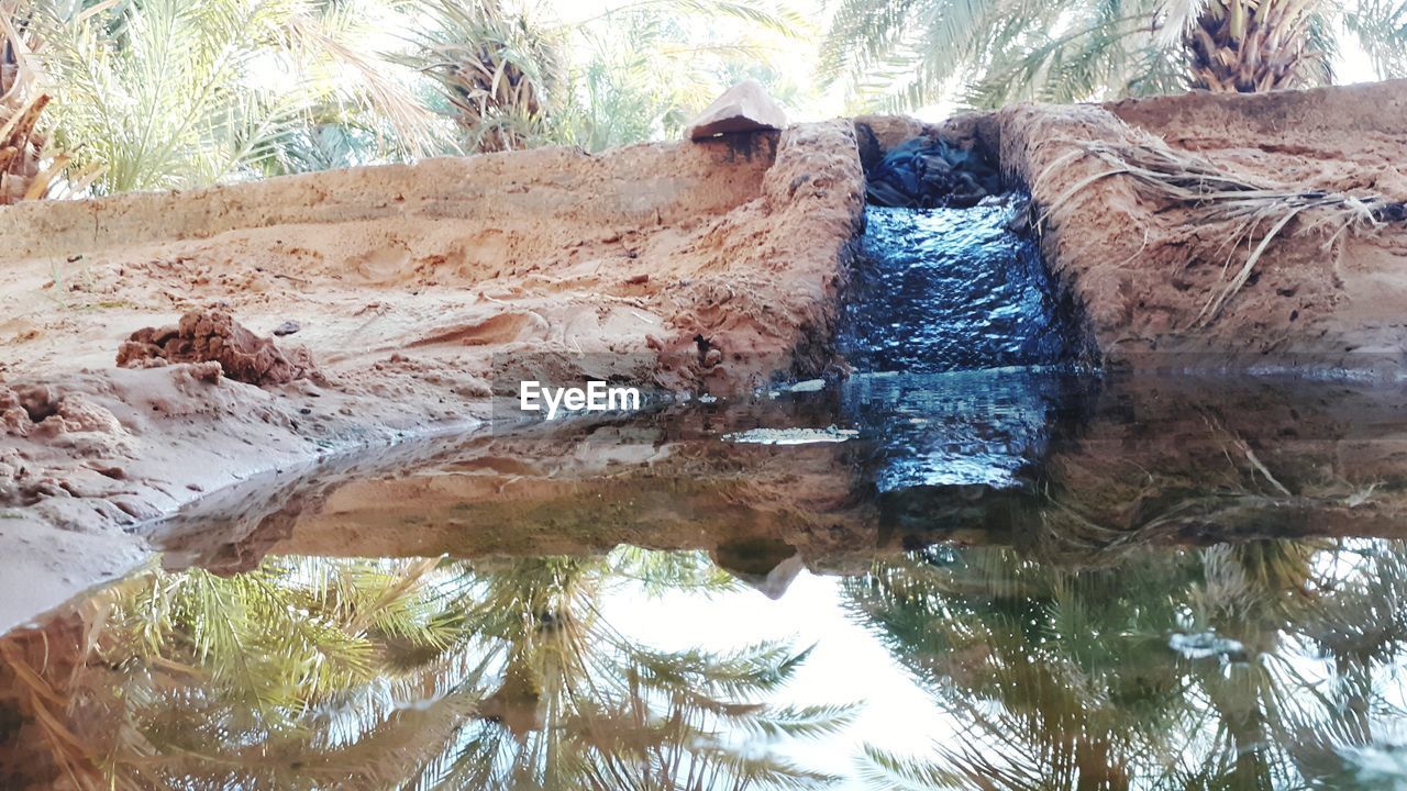 REFLECTION OF TREES IN WATER