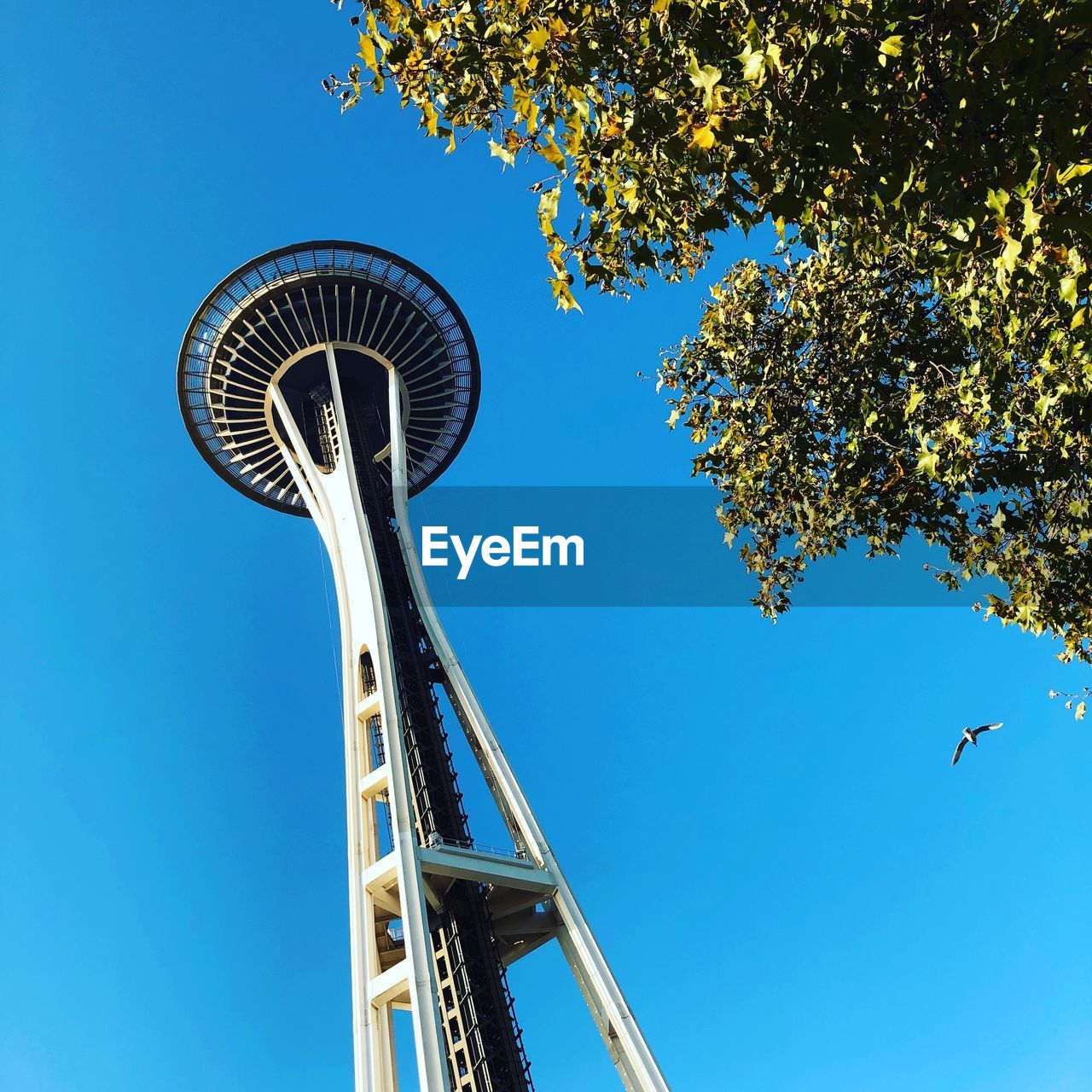 LOW ANGLE VIEW OF FERRIS WHEEL AGAINST SKY