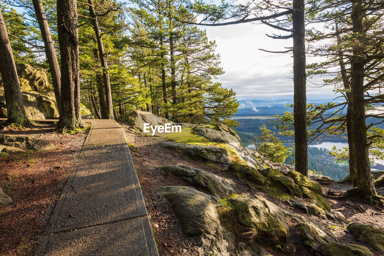 Forest landscape with pathway overlooking a valley at mount erie in anacortes, washington