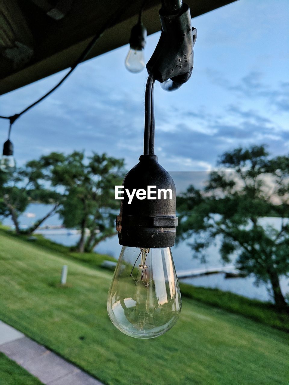 CLOSE-UP OF LIGHT BULB HANGING FROM GRASS