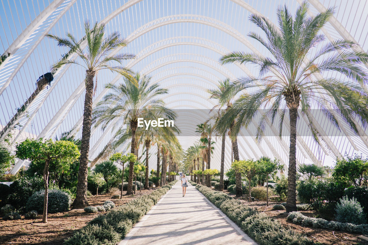 Rear view of woman walking towards walkway amidst palm trees