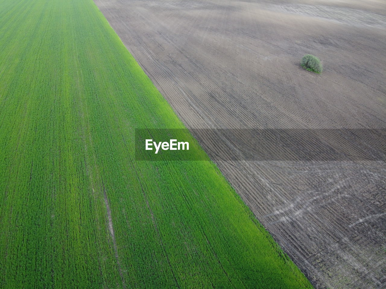 HIGH ANGLE VIEW OF FARM