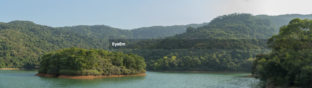 Scenic view of river amidst trees against sky