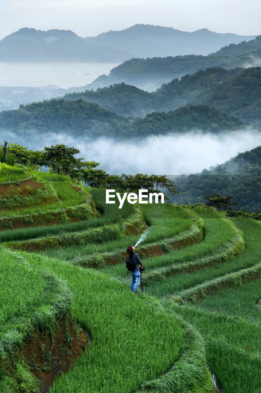 Scenic view of rice field in the mountain