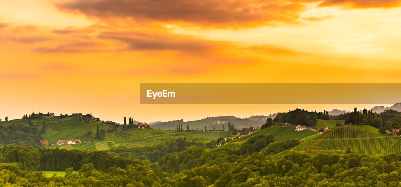 Scenic view of landscape against sky during sunset