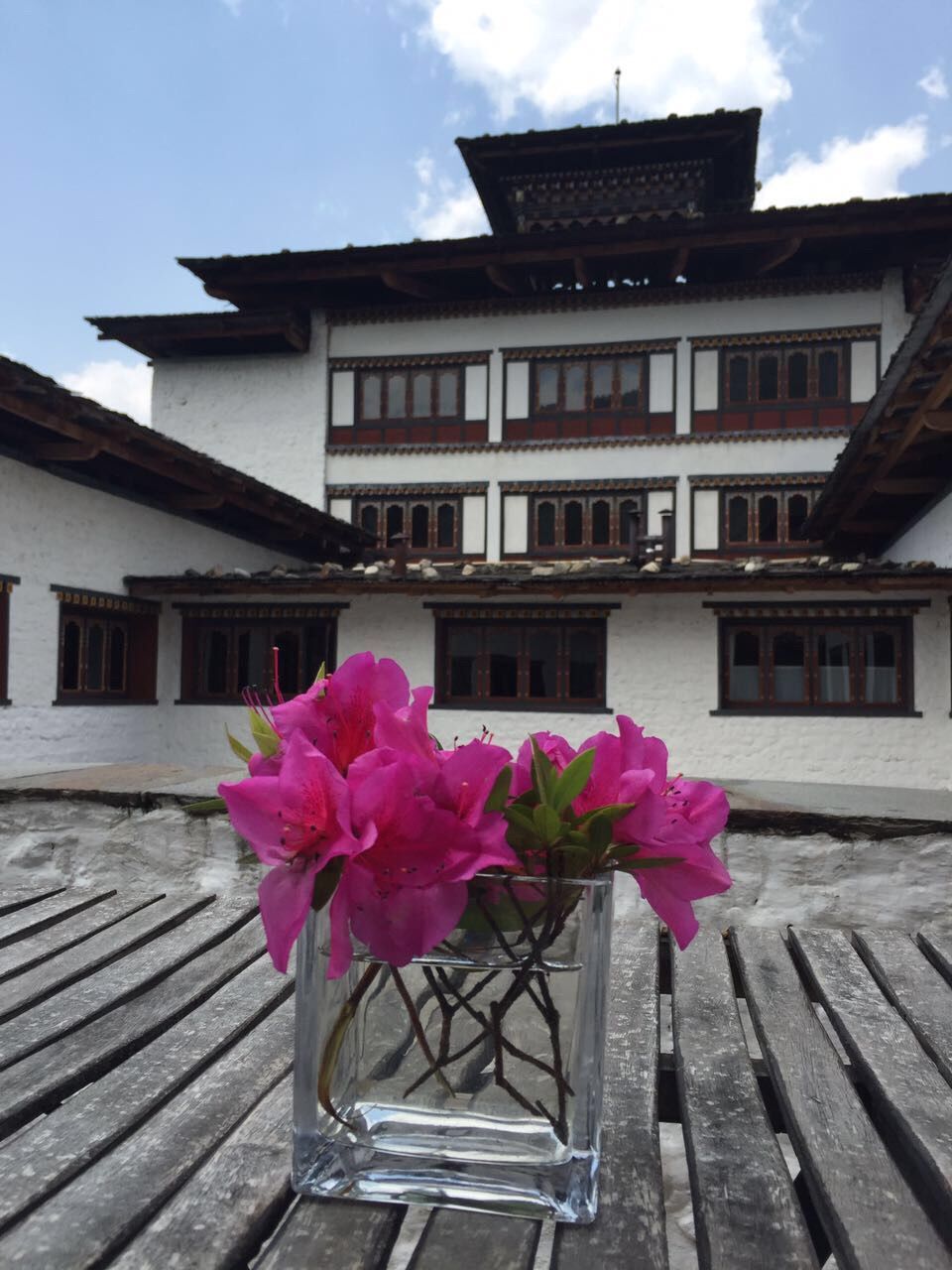 PINK FLOWERS AGAINST HOUSE