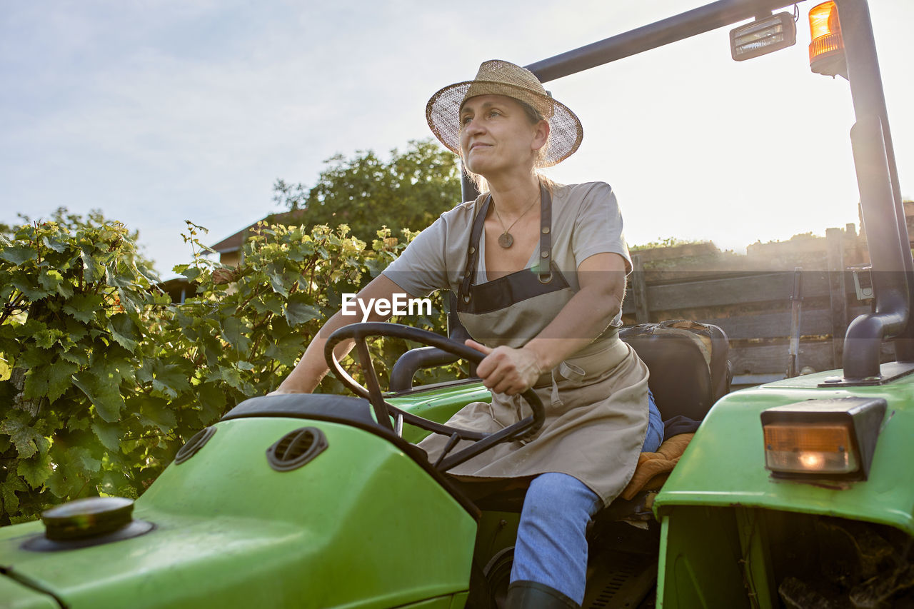 Farmer wearing straw hat driving tractor in vineyard