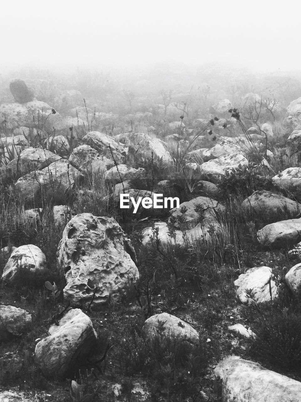 SCENIC VIEW OF MOUNTAINS IN FOGGY WEATHER