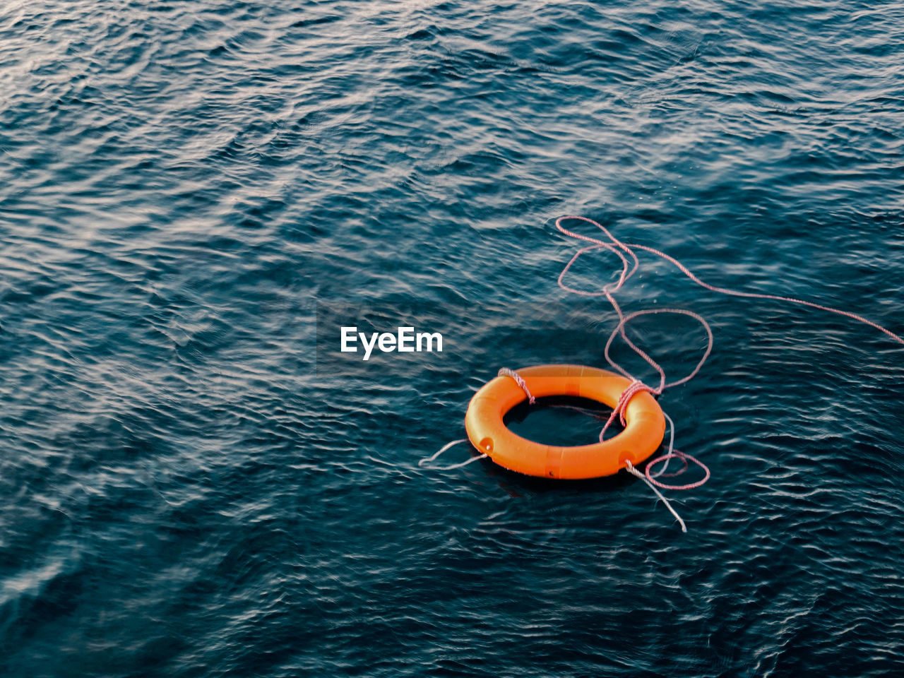 High angle view of life belt floating on water