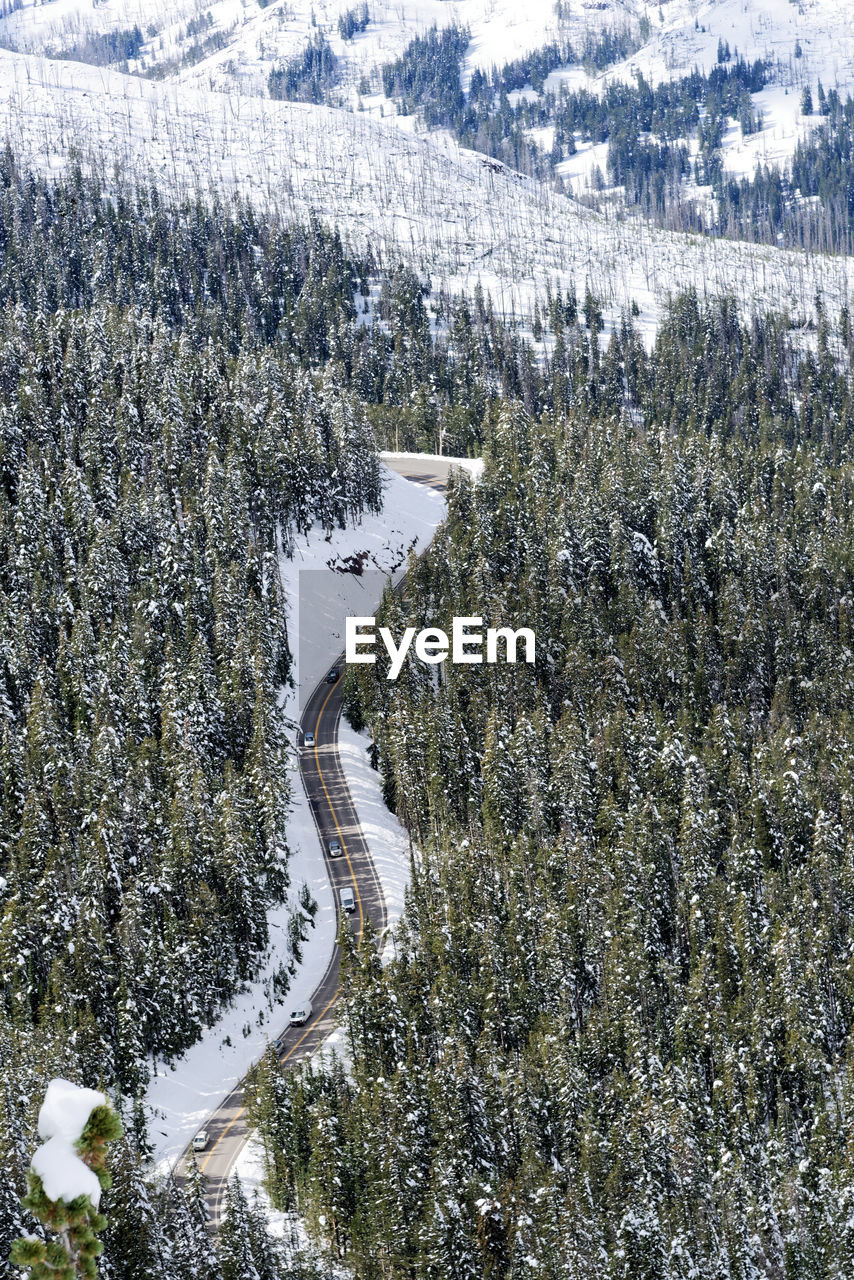 SNOW COVERED LAND AND TREES