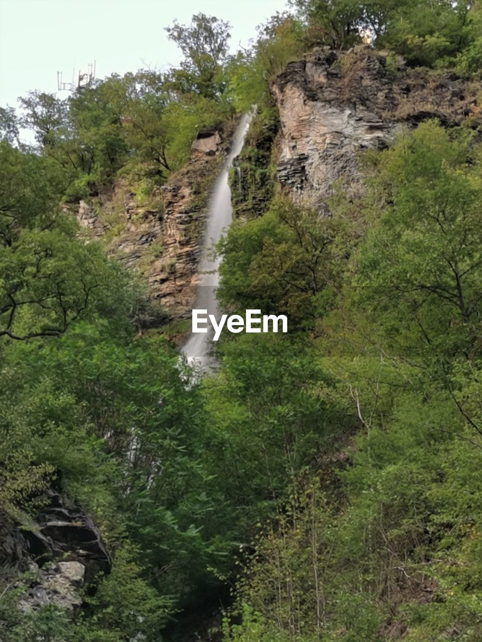 WATERFALL AMIDST TREES IN FOREST