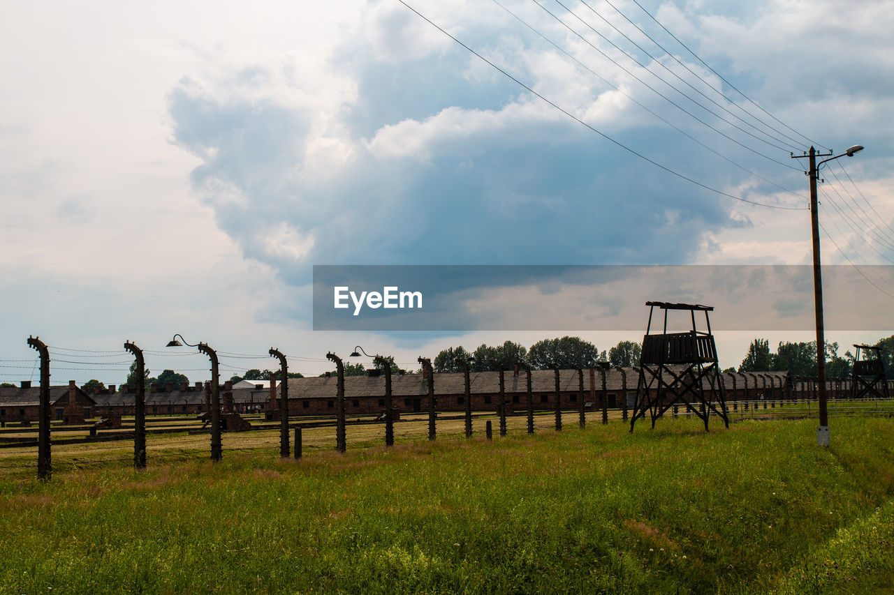 VIEW OF BIRDS ON LANDSCAPE AGAINST SKY