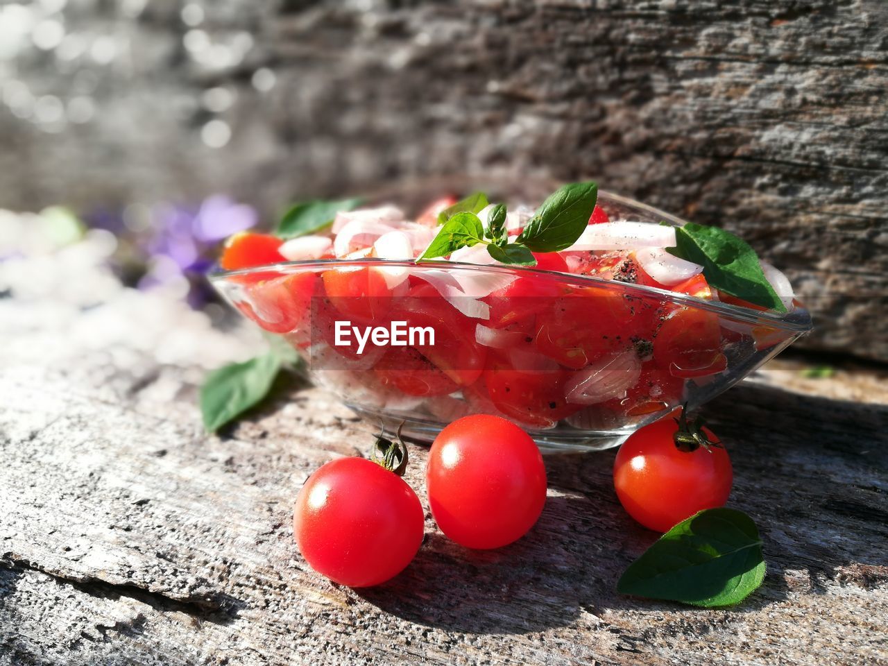 CLOSE-UP OF CHERRIES ON SNOW