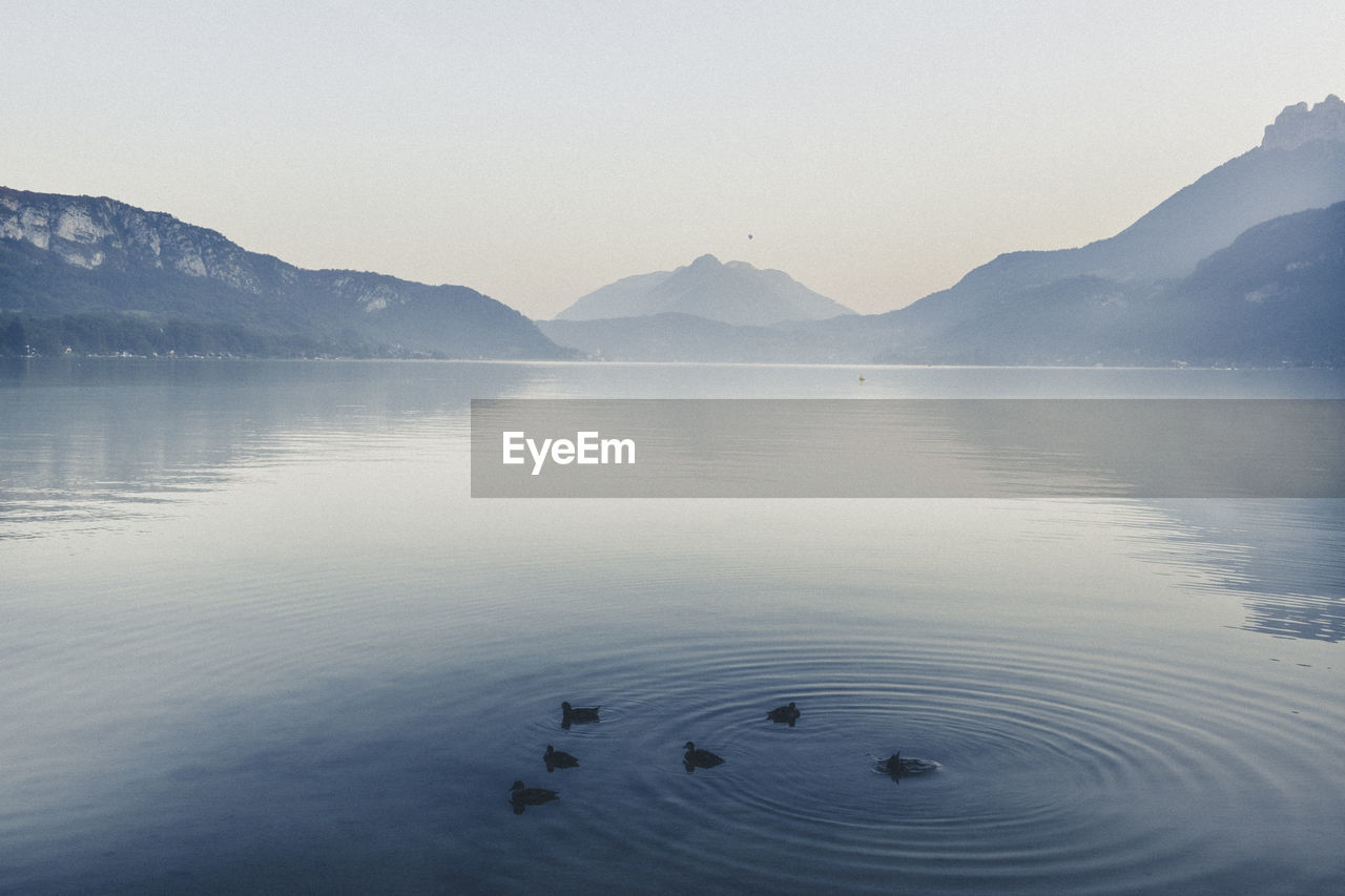 SWANS SWIMMING IN LAKE AGAINST MOUNTAINS