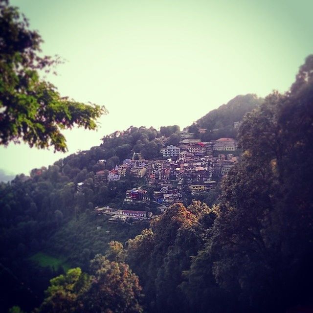 VIEW OF RESIDENTIAL STRUCTURES