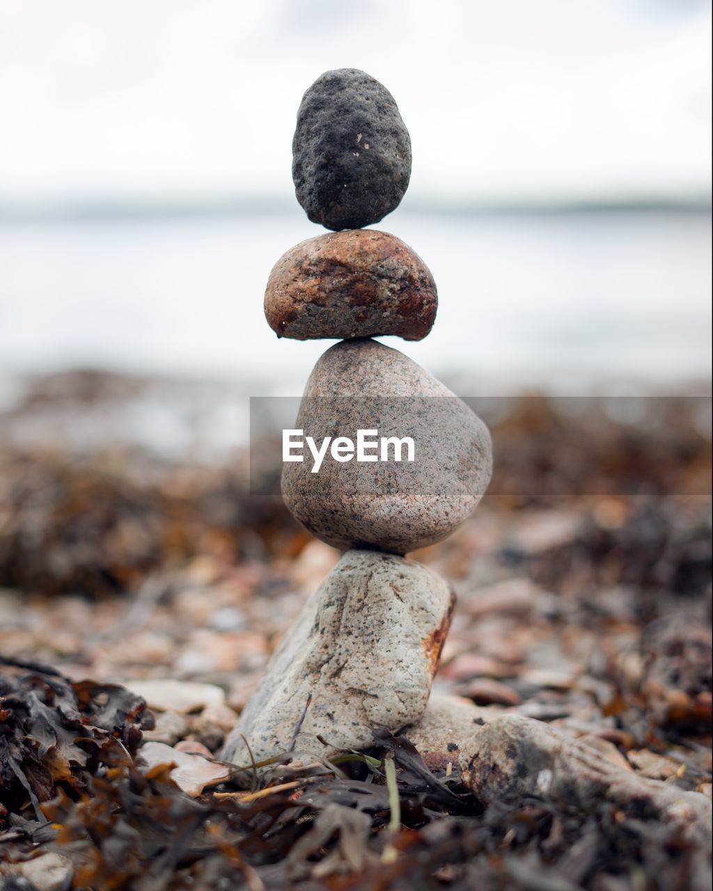 CLOSE-UP OF PEBBLES ON ROCK