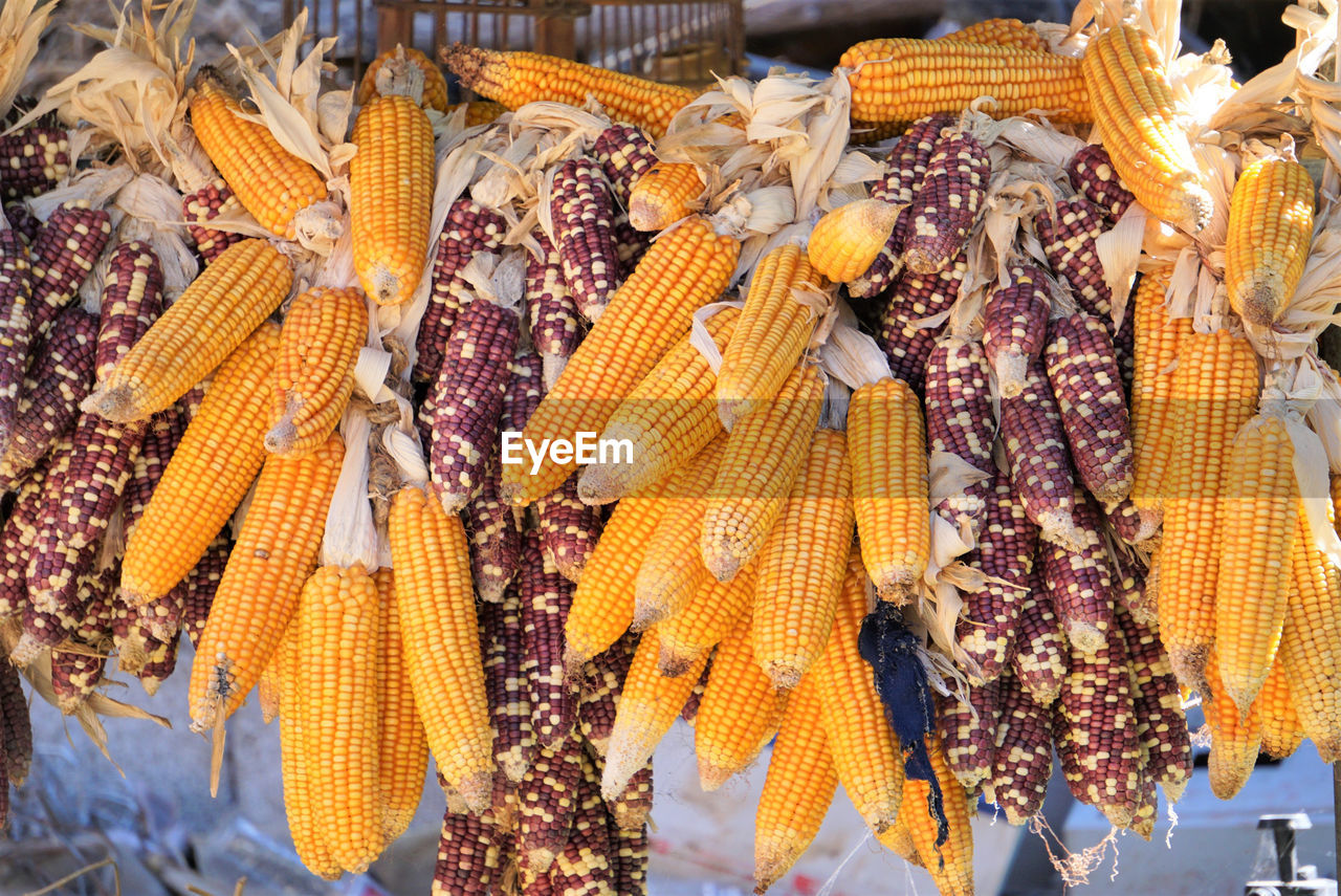 CLOSE-UP OF VARIOUS FRUITS HANGING ON MARKET STALL