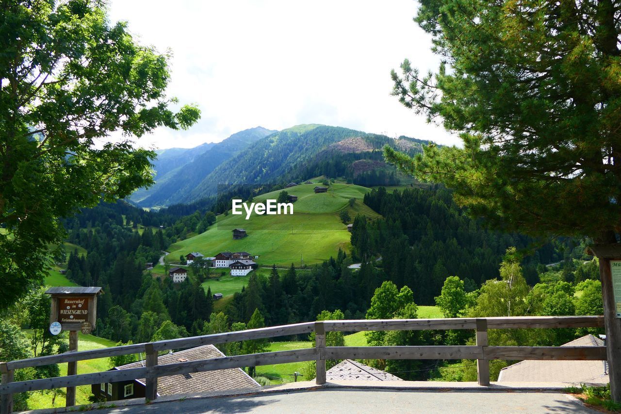 HIGH ANGLE VIEW OF ROAD ALONG TREES AND MOUNTAINS