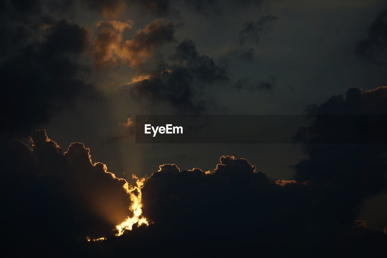 LOW ANGLE VIEW OF SILHOUETTE TREES AGAINST CLOUDS