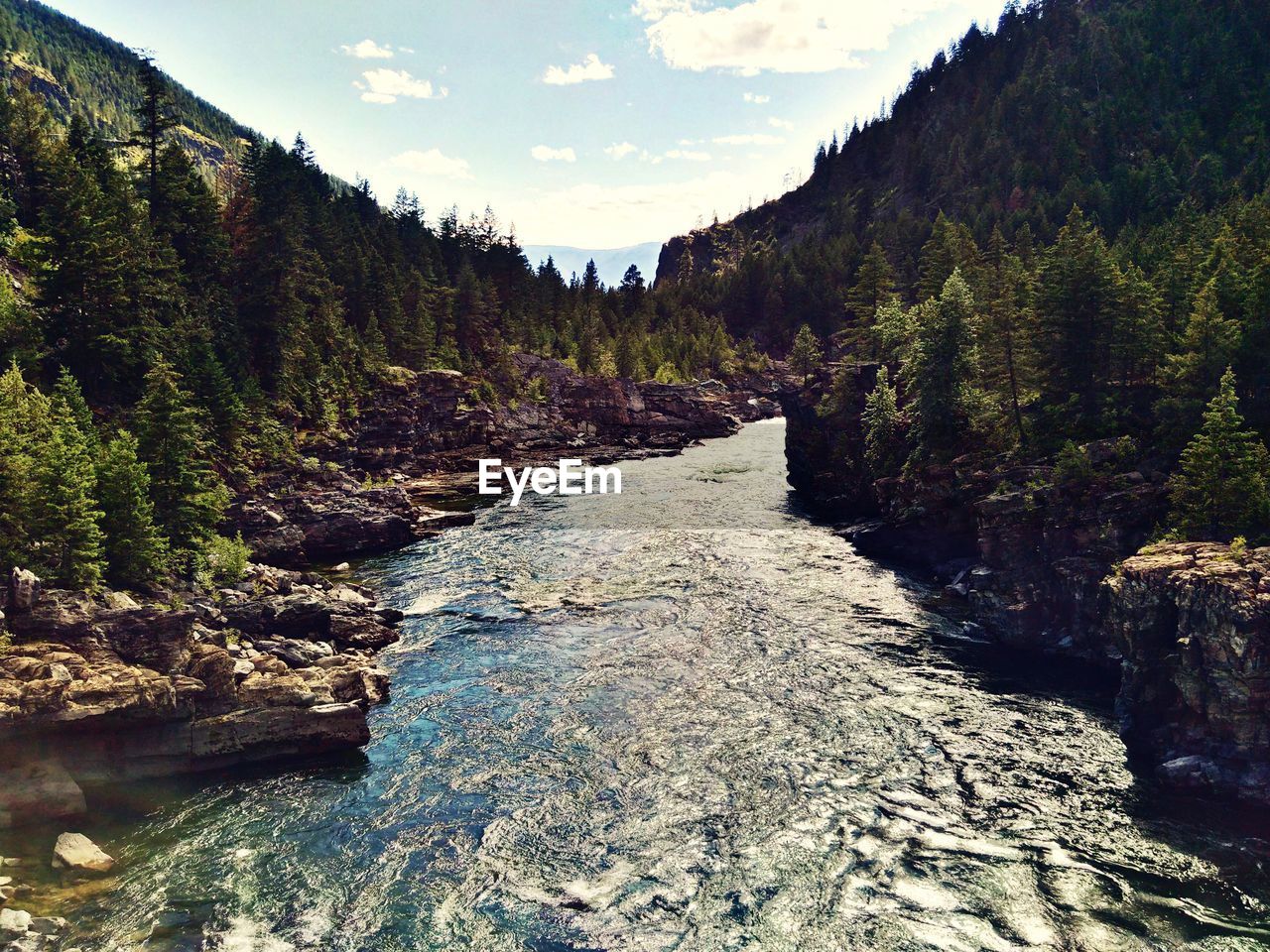 RIVER AMIDST TREES AGAINST SKY