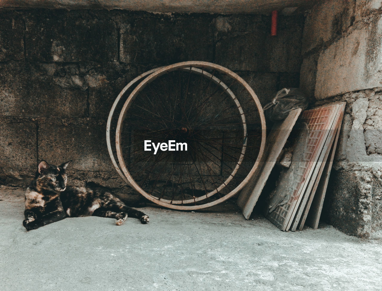 VIEW OF AN ABANDONED AND BICYCLE